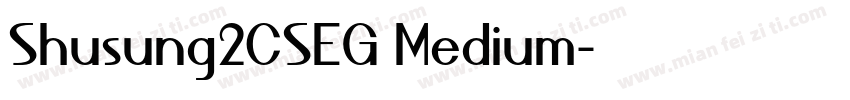 Shusung2CSEG Medium字体转换